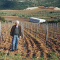 Nemea winery