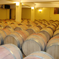 Nemea winery
